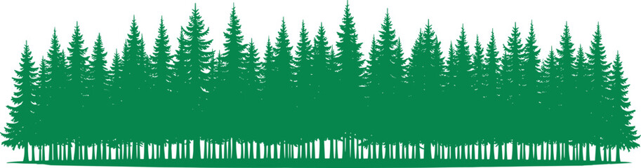Green silhouette of coniferous forest with pine and spruce trees, evergreen woodland landscape, nature background for outdoor adventure design © MostMonira