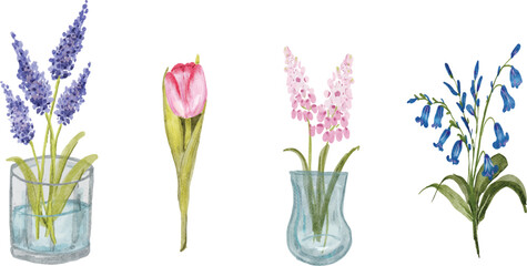 Obraz premium watercolor spring flower pink purple muscari, tulip and bluebell