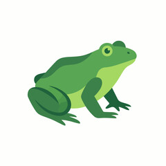 Fototapeta premium A cute, detailed illustration of a green frog sitting poised, representing tranquility and nature. The vibrant colors emphasize the natural beauty found in wildlife.