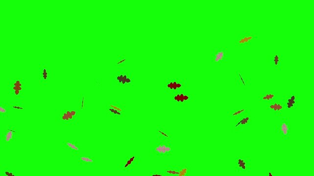 Falling Abstract Leaf Shapes on Green Screen Background