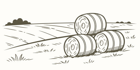 three hay bales sitting in a field Vector © zalal