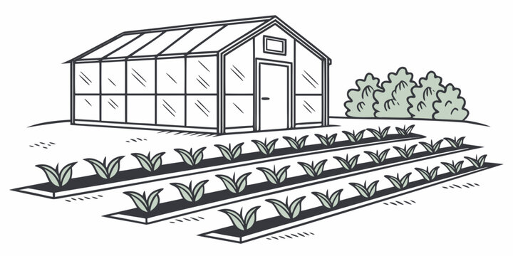a small greenhouse with plants growing in rows Vector