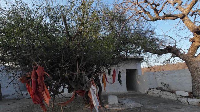 An ancient Hindu temple shrine situated on a rocky hill in the Aravalli range featuring traditional white-washed architecture and old twisted trees under a clear sky.
