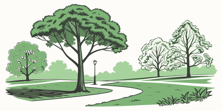 a serene park scene with trees and a winding path Vector