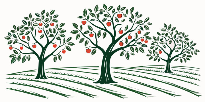 three apple trees with red apples in an orchard Vector