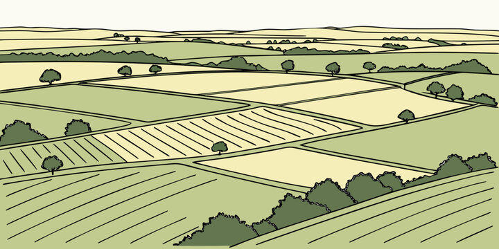 a landscape of green fields and trees Vector
