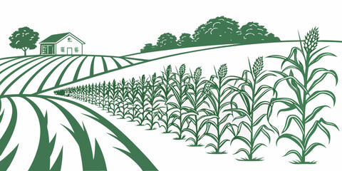 a green illustration of a farm with cornfields and a barn Vector © RABBY