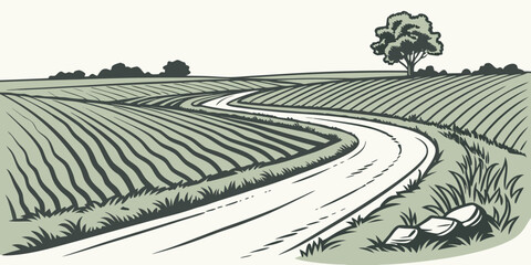 Fototapeta premium a winding road through a green vineyard landscape Vector