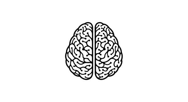 Stylized Brain Illustration on White Background for Medical Concepts.