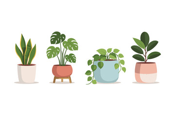 Obraz premium Collection of four potted houseplants with diverse foliage and decorative pots