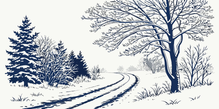 a snowy road with trees on a winter day Vector