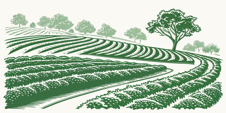 a green landscape with a tree and rows of crops Vector