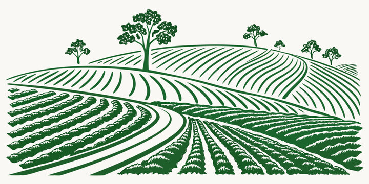 a green illustration of a vineyard with rows of crops and trees Vector