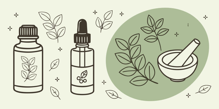 herbal medicine bottles and mortar with leaves Vector