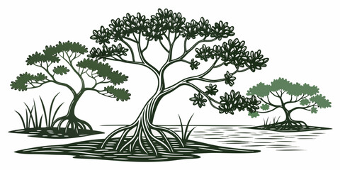 a group of trees with exposed roots in a swampy area Vector © BOY