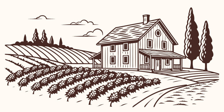 a house in a vineyard with a tree and birds flying overhead Vector