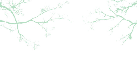Delicate green tree branches with intricate twigs and leaves on white background © sultan