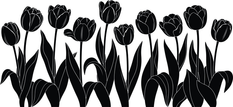 Black Tulip Flower Silhouette Border with Leaves Decorative Floral Spring Garden Vector Illustration for Nature Backgrounds, Greeting Cards, Textile Prints, Invitations, and Botanical Designs