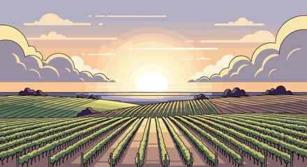 Sunset over vineyard and ocean, soft clouds drift in pastel sky © Sendal