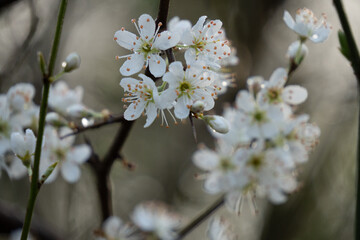 Obraz premium Region Teutoburger Wald