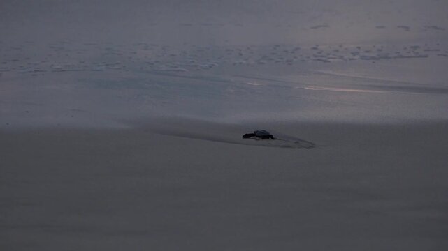 A Baby Sea Turle Crawling to the Ocean