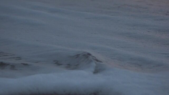 A Baby Sea Turle Crawling to the Ocean