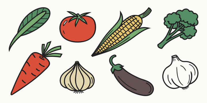a variety of colorful vegetables on display Vector