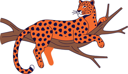 Leopard lying on tree branch vector illustration with orange fur and black spots isolated on white background for wildlife nature safari concept. © Sagar Creative