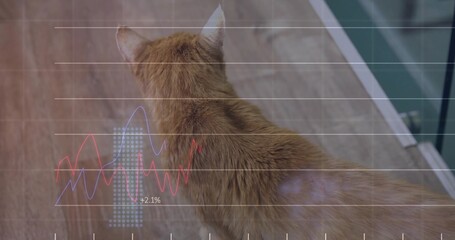 Fototapeta premium Peering ginger cat facing green door on wood floor, with bluish fur reflection, grid waveforms