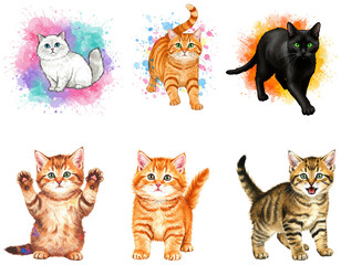 Obraz premium Cute Kitten Collection Isolated Transparent Background