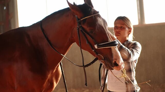 Woman carefully inspects horse's tack, adjusting it. Rider carefully checks and adjusts horse's tack while standing in arena to ensure safe riding. Owner's care for horse