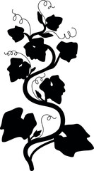 Black silhouette of young pumpkin vine isolated on white background  © Kazakova Maryia