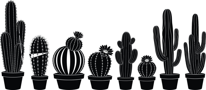 Cactus plant silhouette set, desert cactus collection in flower pots, succulent houseplant icons, botanical vector illustration isolated on white background
