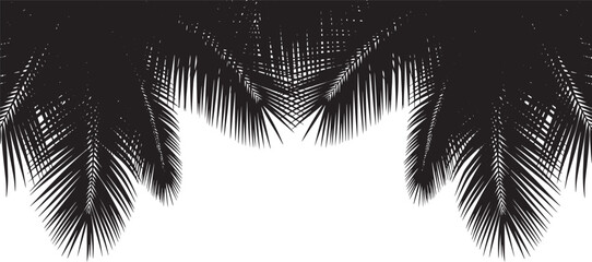 Tropical Silhouette against White Background © The Shot Hub