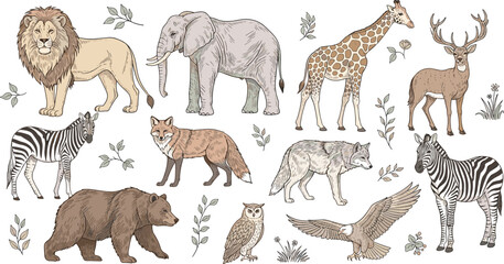 Naklejka premium Wild Animals Vintage Vector Illustration Set Featuring Lion, Elephant, Giraffe, Zebra, Deer, Wolf, Fox, Bear, Owl, and Eagle in Hand Drawn Style.