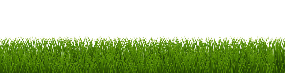Fototapeta premium Spring Poster Border Wit Green Grass