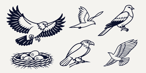 Fototapeta premium a collection of six different falcon silhouettes and a nest Vector