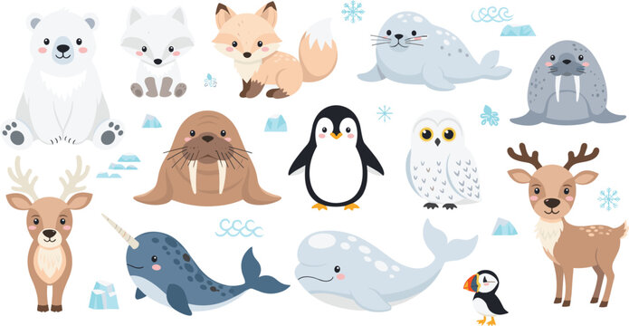 Cute Arctic Animals Vector Illustration Set Featuring Polar Bear, Seal, Walrus, Penguin, Owl, Deer, Whale, Narwhal, and Puffin for Winter Wildlife Designs.