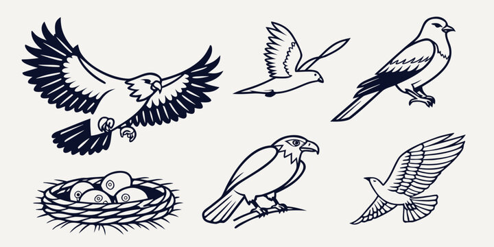 a collection of six different falcon silhouettes and a nest Vector