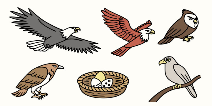 a group of hawks and an eagle with a nest Vector