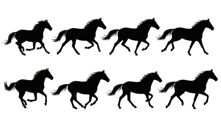 Obraz premium Eight Black Horse Silhouettes Running In Row On White Background