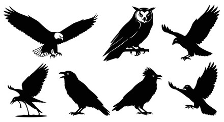 Fototapeta premium Black Silhouette Birds Collection - Eagle, Owl, Crows Flying and Perched