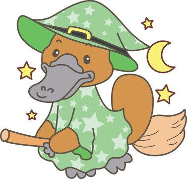 Cute set of platypus sticker with activity. Platypus 