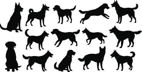 Obraz premium Collection of various dog breeds in different poses