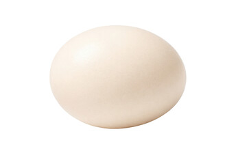 Single large white ostrich egg with smooth shell texture, isolated on a clean white background, perfect for food, nutrition, or exotic animal concepts.