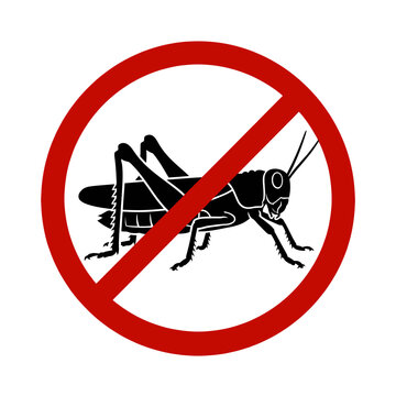 Sandfly and Leishmaniasis Disease Prevention Icon