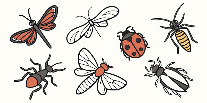 a group of insects including a butterfly and a ladybug Vector