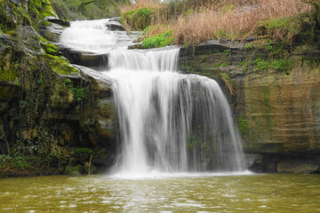 Fototapeta premium Silky waterfall in lush forest with mossy rocks and flowing stream, long exposure nature landscape
