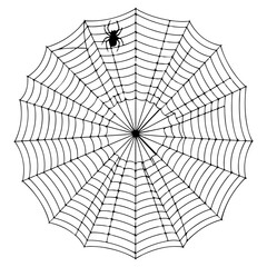 Obraz premium Spider Web Drawing Vector Illustration, Detailed Cobweb Line Art Isolated on White Background, Realistic Hand Drawn Spider Web Sketch, Creepy Halloween Spider Net Design Element