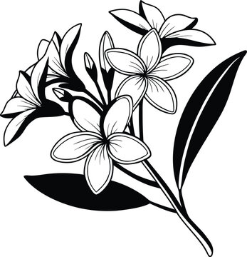 ull tropical flower line art icon on transparent background